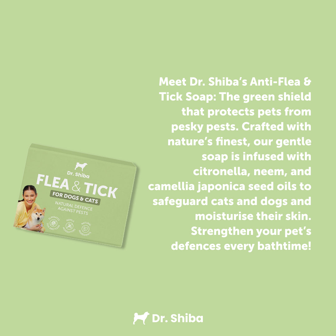 Anti Flea & Tick Soap