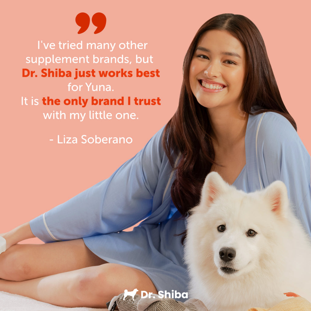 Jolly Joints - Dog Supplement Treats For Healthy Bones & Joints