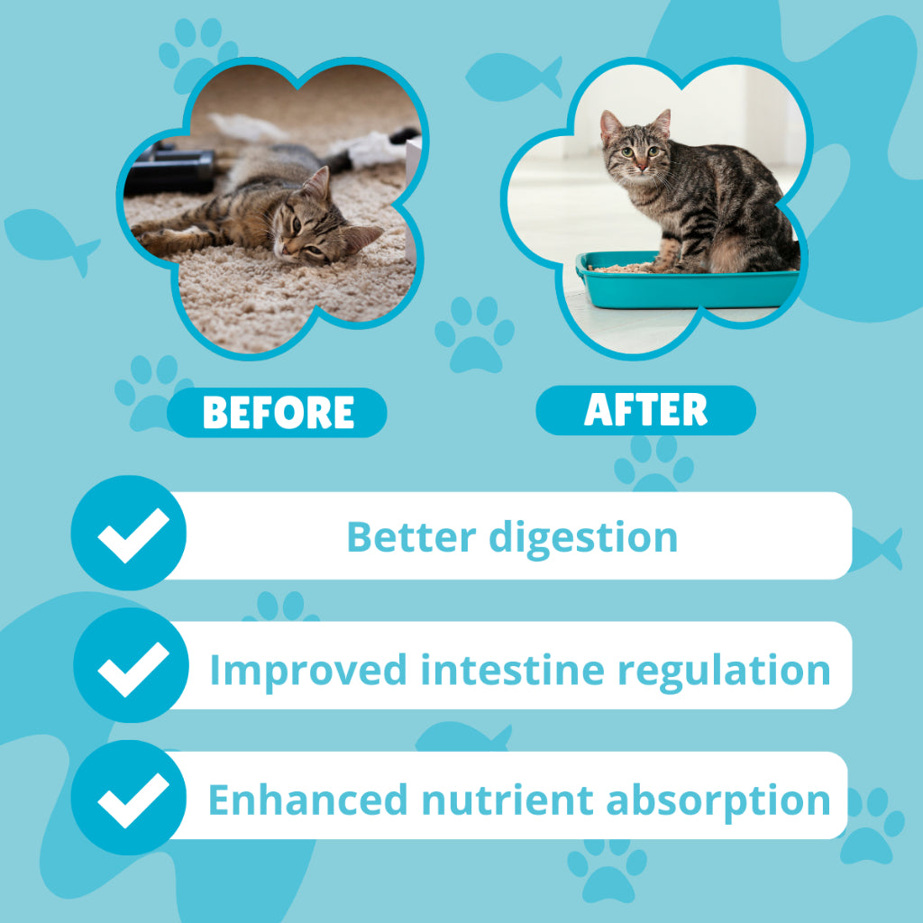 Happy Tummy - Probiotic Cat Supplement Treats For A Healthy Gut