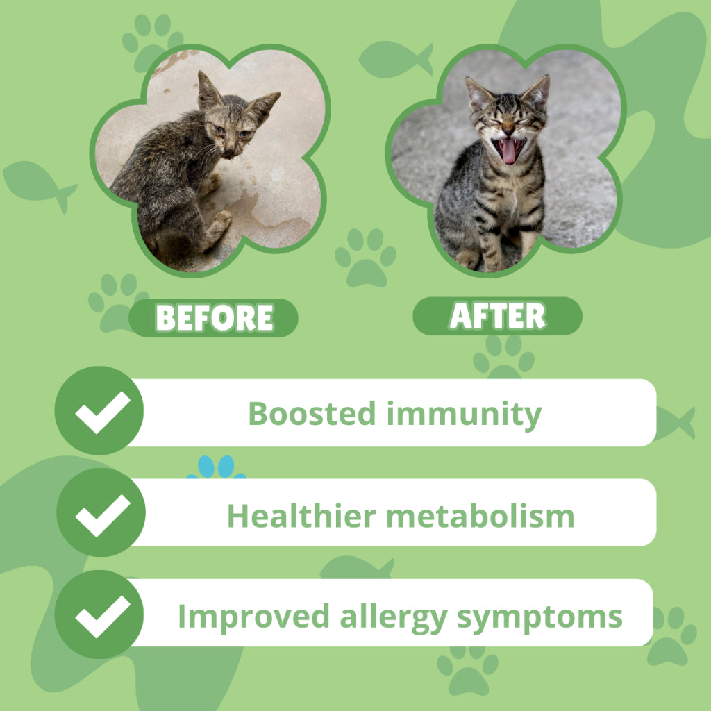 Pro Immune - Cat Supplement Treats for a Strong Immune System