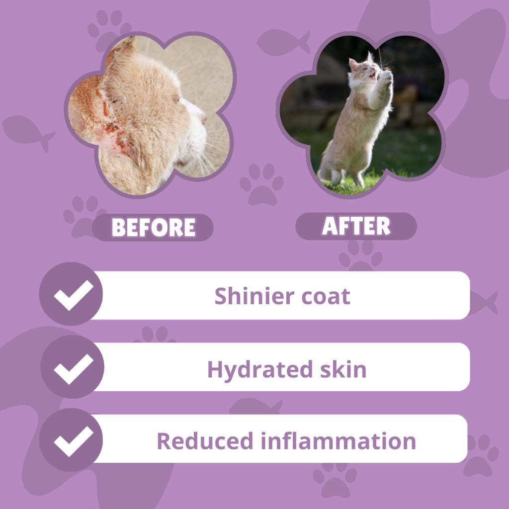 Silky Fur - Cat Supplement Treats For a Healthy Coat