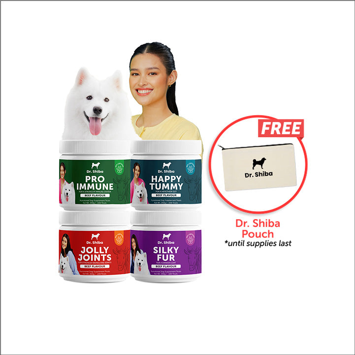 Barks Friday, Cyber Monday: Quad Care Bundle + Dr. Shiba Pouch