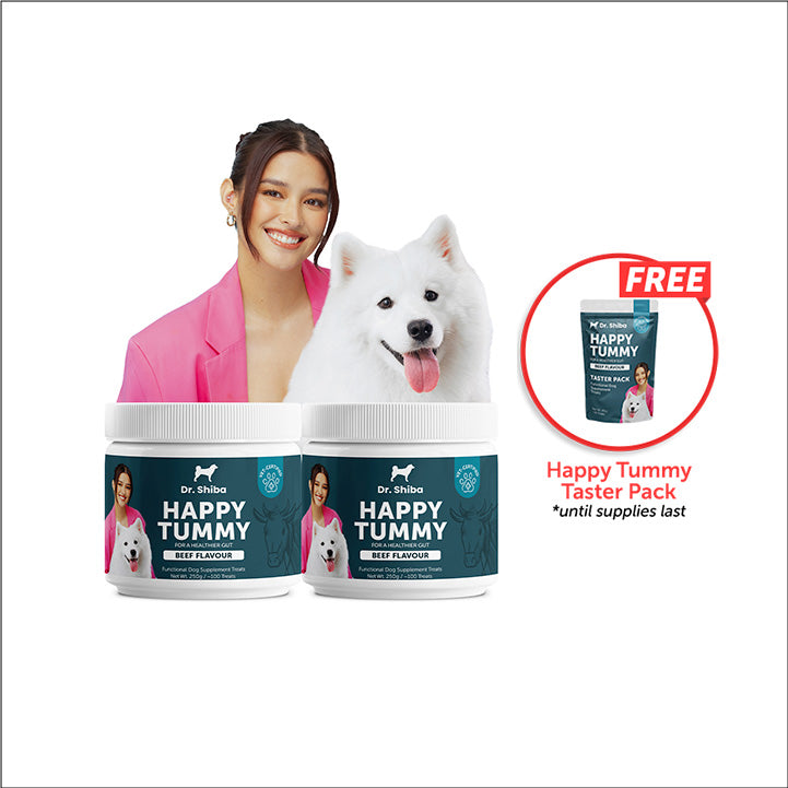 Barks Friday, Cyber Monday Bundle: Happy Tummy Twin + Free Taster Pack