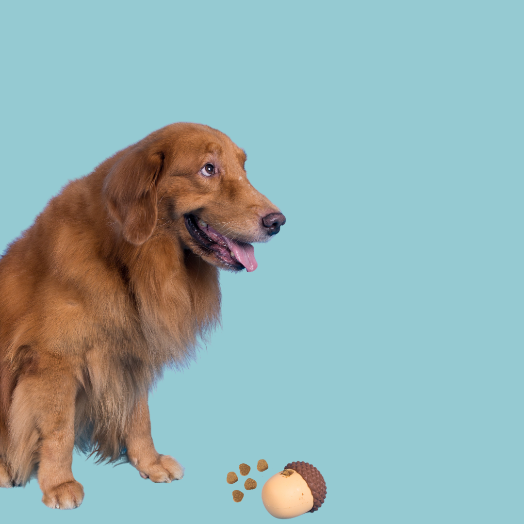 Totori - The Ultimate 3-in-1 Dog Toy