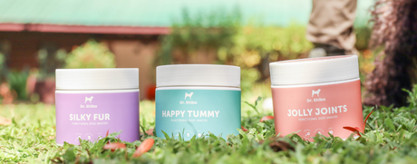 Dr. Shiba functional snacks - happy tummy, silky fur, jolly joints