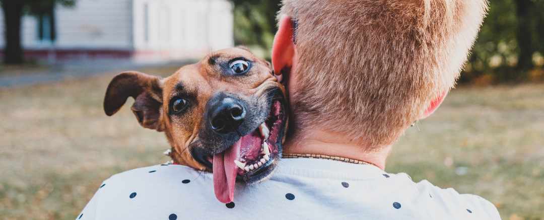 Dog kissing his human