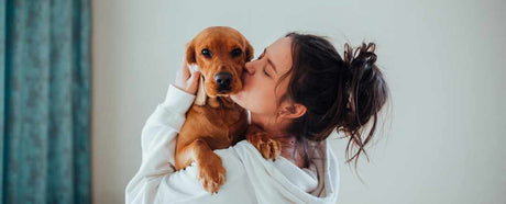 Woman and her pooch on a sofa