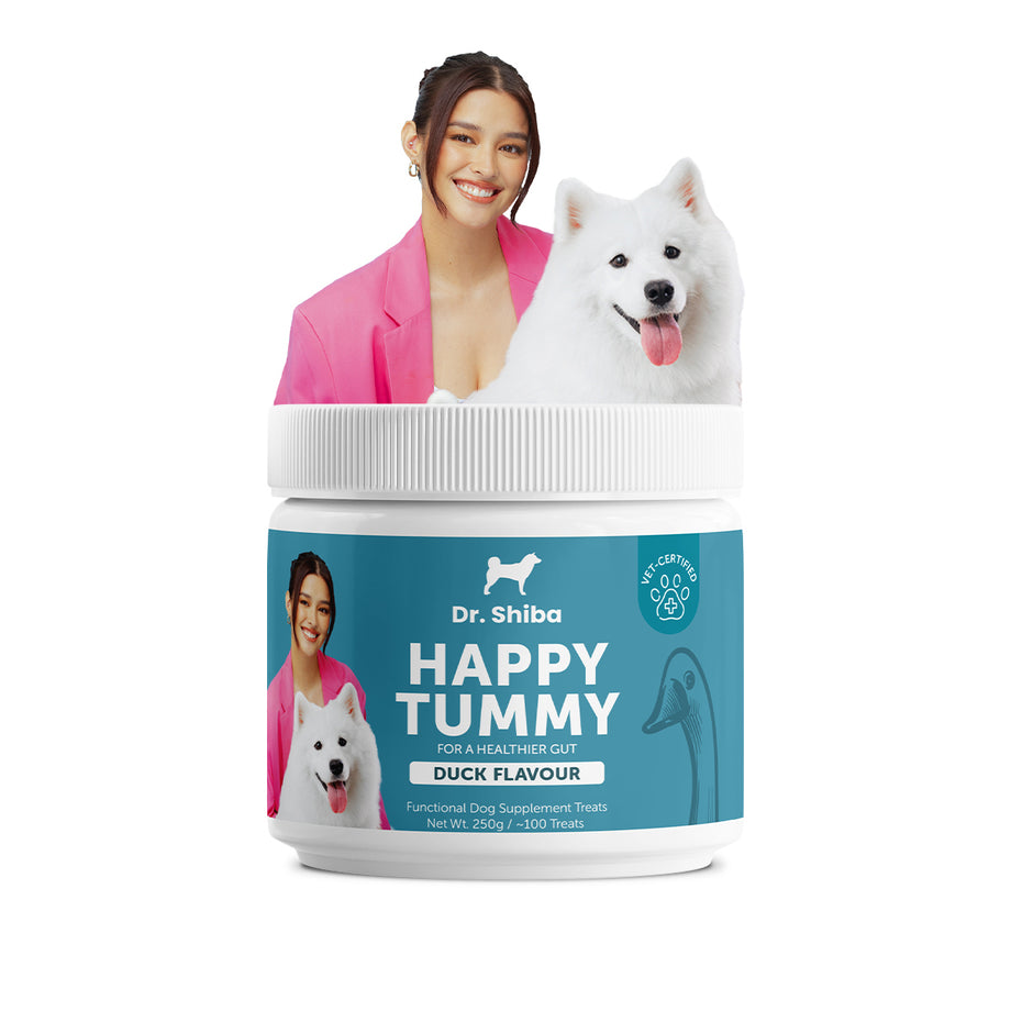 Dog's yeast infection – Dr Shiba Supplement Treats PH