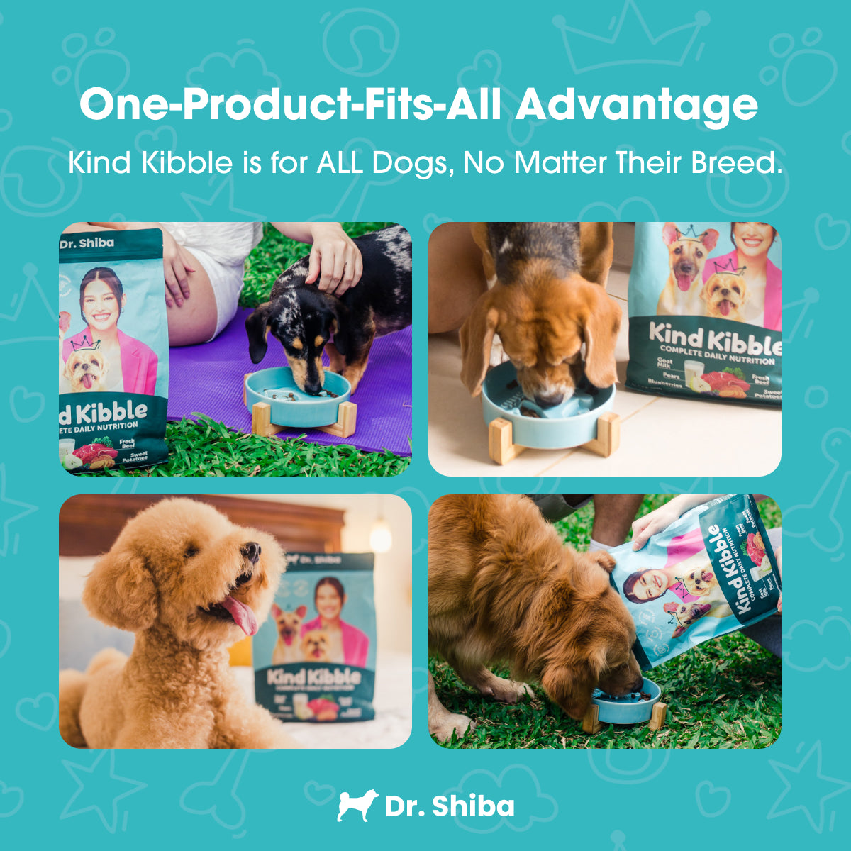 Dr. Shiba's Kind Kibble - Balanced & Complete Daily Nutrition for Dogs