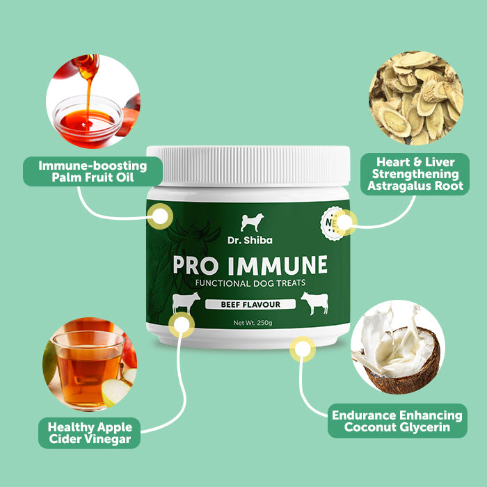 The Ultimate Immunity-Boosting Treats for Dogs of All Ages - Pro Immune ...
