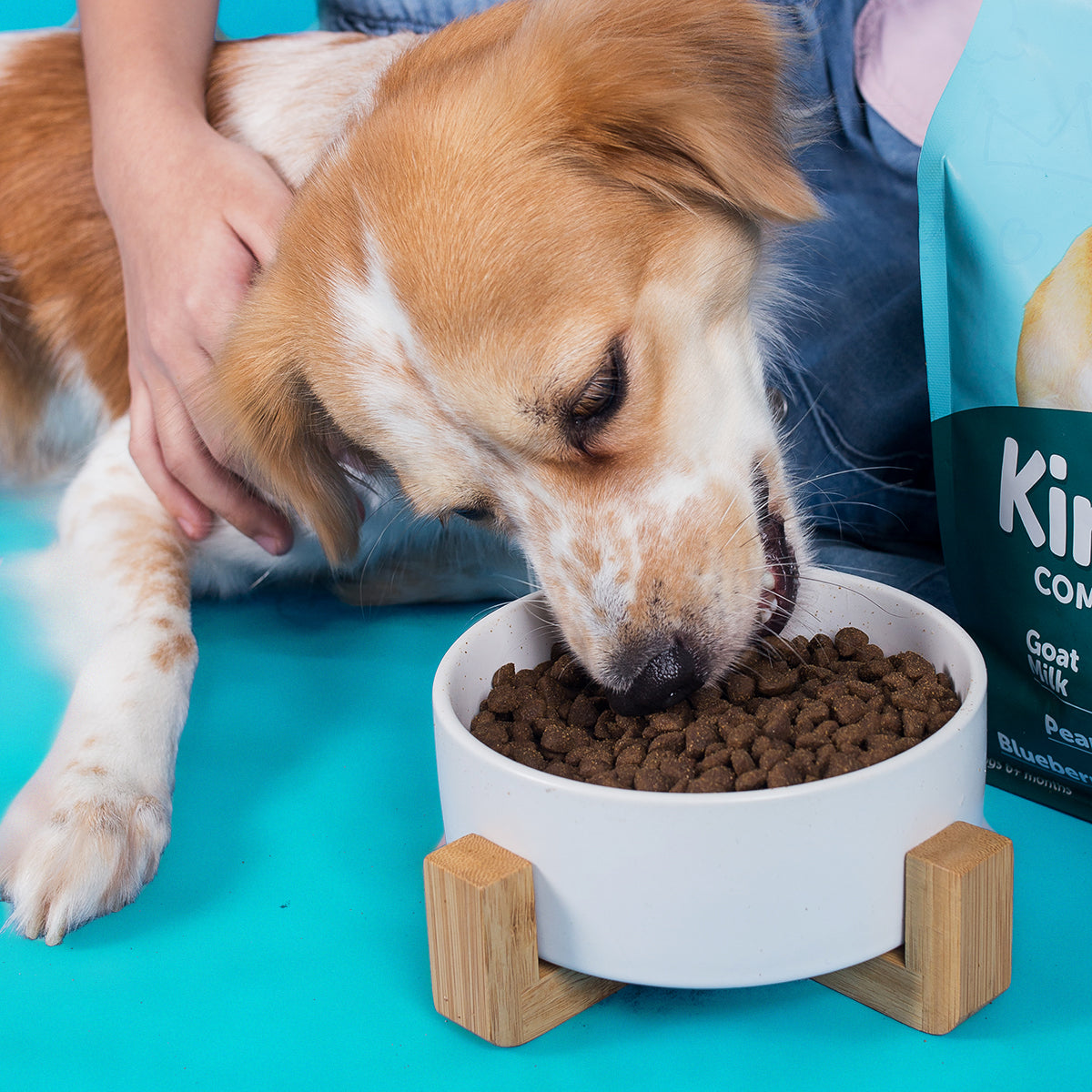 Dr. Shiba's Kind Kibble - Balanced & Complete Daily Nutrition for Dogs