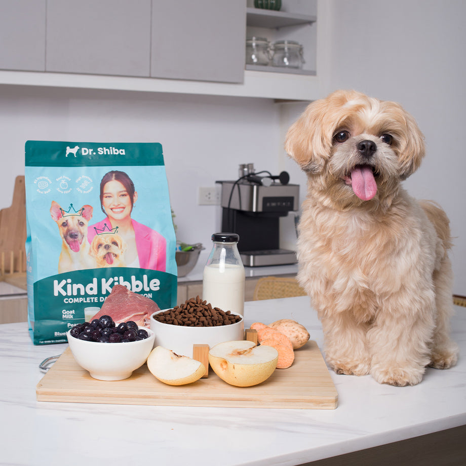 Shiba's Kind Kibble Complete Daily Nutrition Dog Food – Dr
