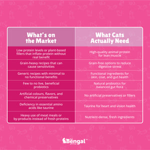 Prof. Bengal's Kind Kibble - Balanced & Complete Daily Nutrition for Cats