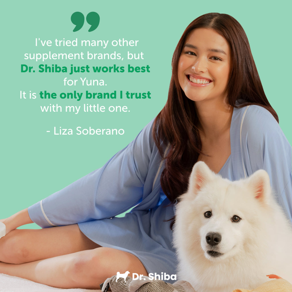 Pro Immune Dog Immune Booster - Dog Supplement Treats for a Strong Immune System