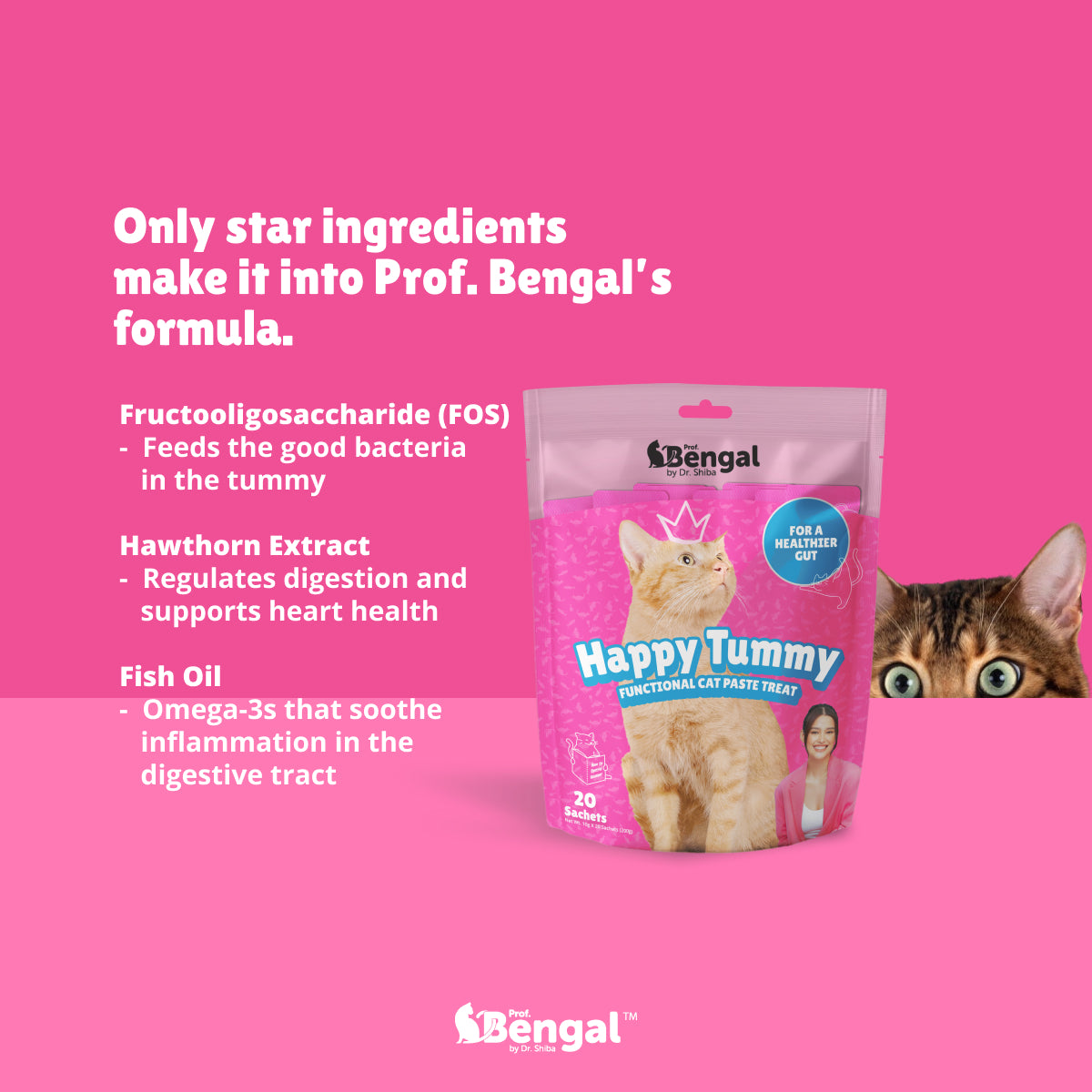 Prof. Bengal for Cats - Happy Tummy