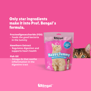 Prof. Bengal for Cats - Happy Tummy