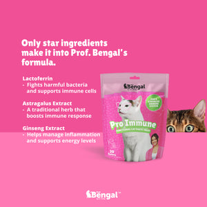 Prof. Bengal for Cats - Pro Immune
