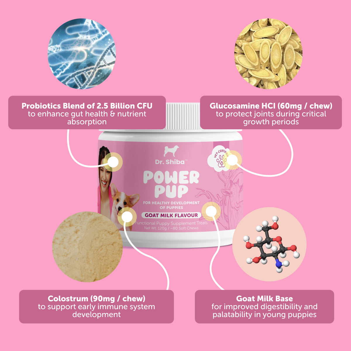 Dr. Shiba Power Pup - Puppy Daily Chewable Supplement for Health & Immunity | Goat Milk Flavor