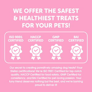 Dr. Shiba Power Pup - Puppy Daily Chewable Supplement for Health & Immunity | Goat Milk Flavor