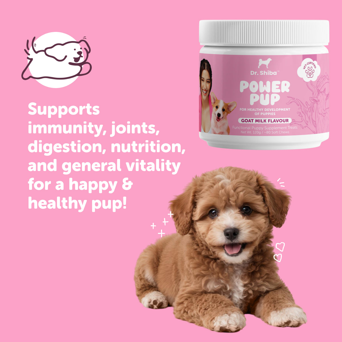 Dr. Shiba Power Pup - Puppy Daily Chewable Supplement for Health & Immunity | Goat Milk Flavor