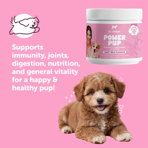Dr. Shiba Power Pup - Puppy Daily Chewable Supplement for Health & Immunity | Goat Milk Flavor