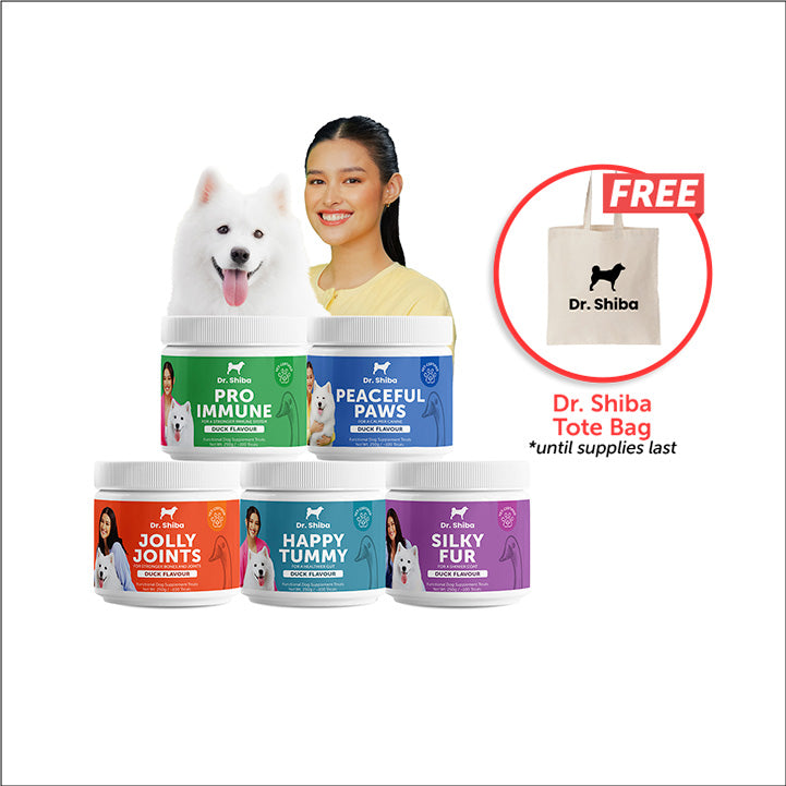 Barks Friday, Cyber Monday: Quin Care Bundle + Dr. Shiba Tote