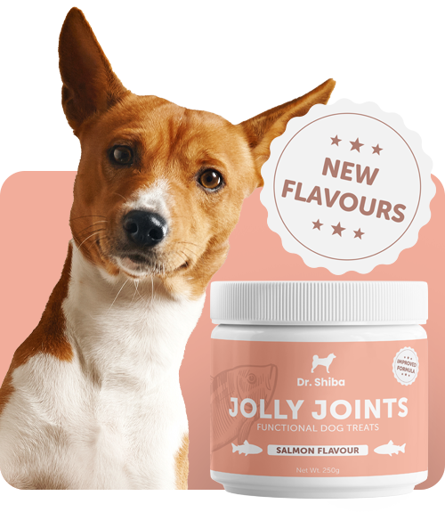 Does your pet lick, itch and suffer - Doobies Happy Pets